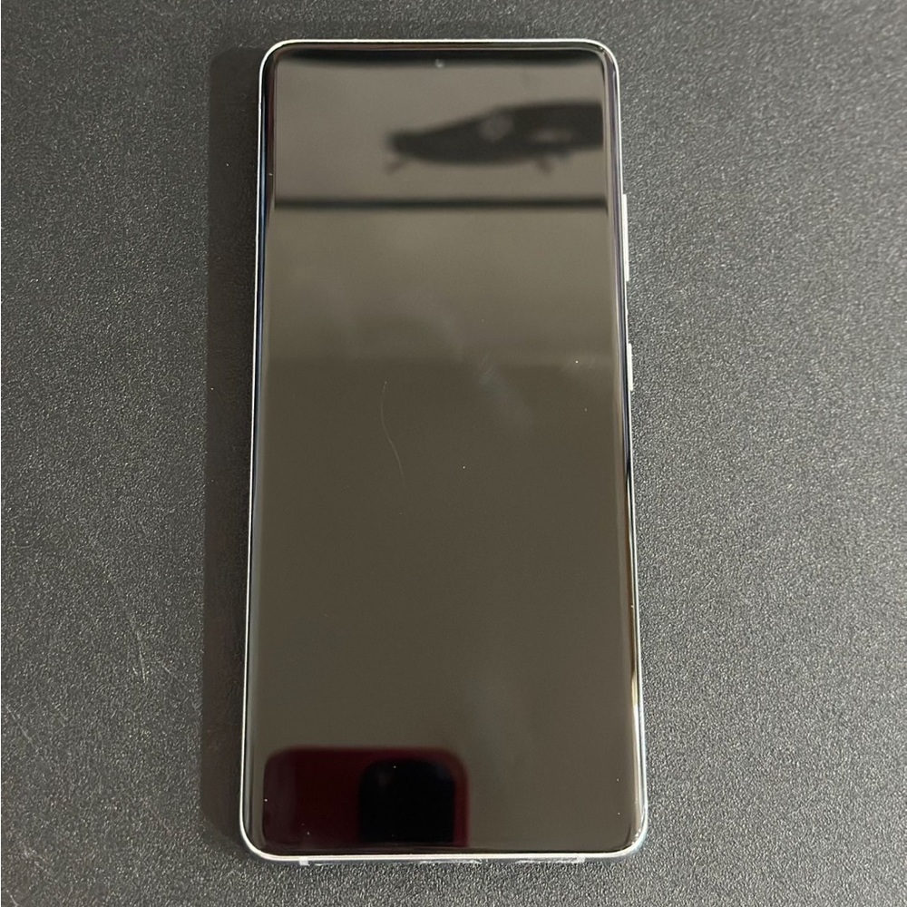 Samsung s21 ultra 128 gig unlocked